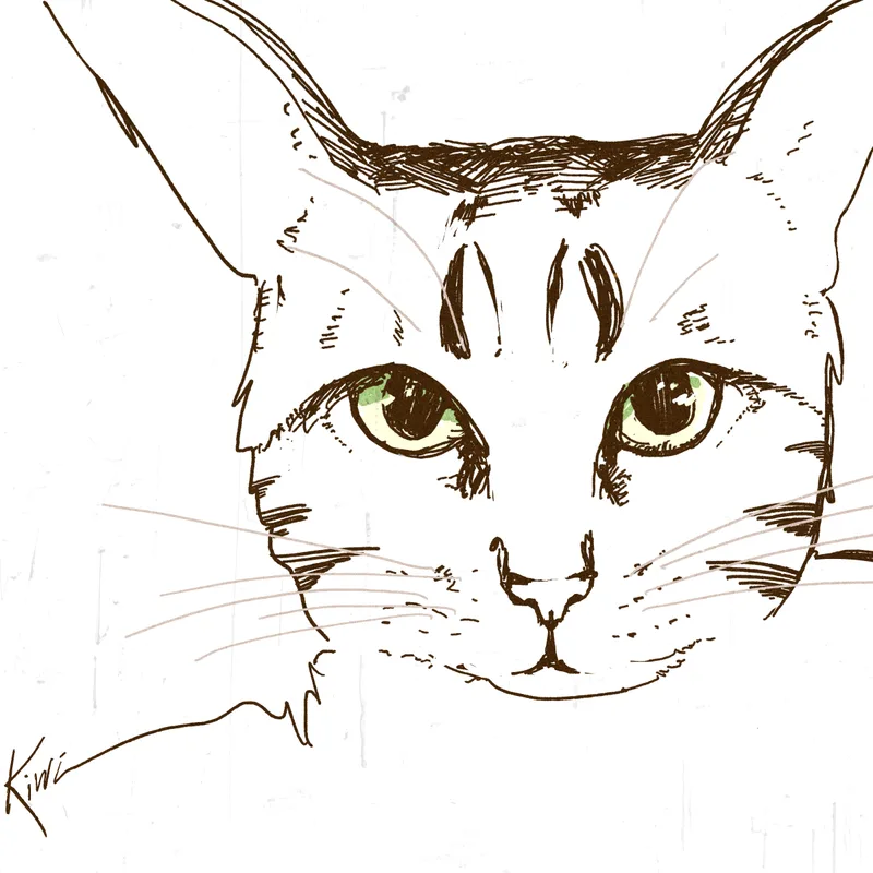 Ink drawing of a cat's face looking straight ahead, with green eyes and dark tabby stripes, signed Kiri.