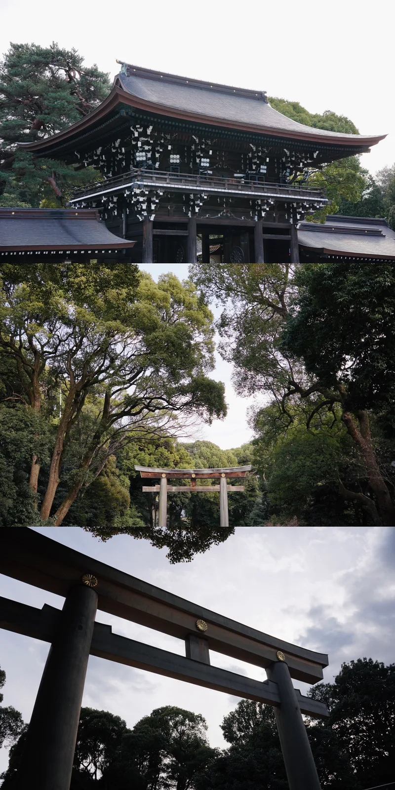 Vertical triptych of a Japanese shrine: a wooden worship hall, a torii gate deep in green forest, and a close view of a torii against the sky.